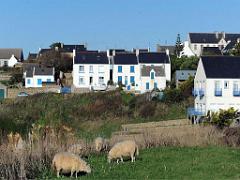 129 ILE DE OUESSANT_000055